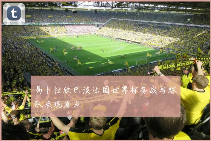 易卜拉欣巴谈法国世界杯备战与球队表现看点