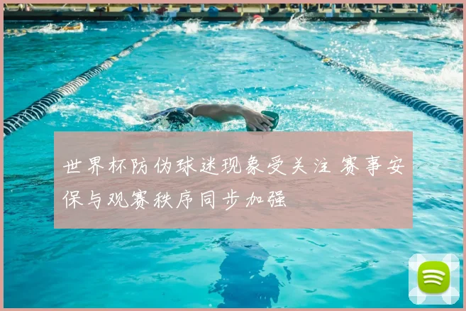 世界杯防伪球迷现象受关注 赛事安保与观赛秩序同步加强