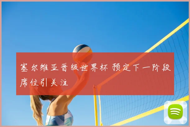塞尔维亚晋级世界杯 预定下一阶段席位引关注