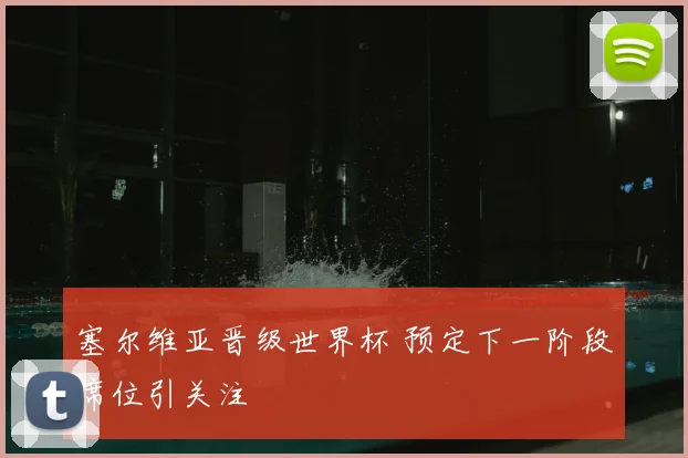 塞尔维亚晋级世界杯 预定下一阶段席位引关注