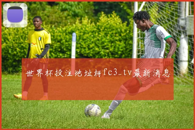 世界杯投注地址柯fc3_tv最新消息