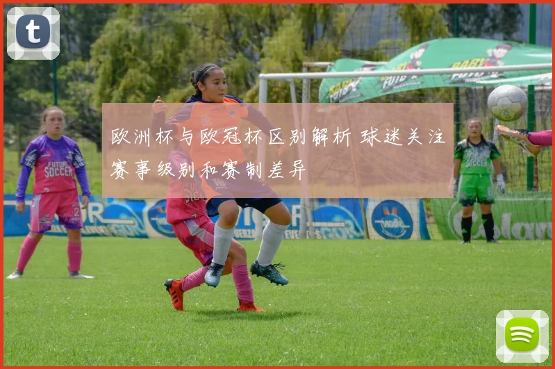 欧洲杯与欧冠杯区别解析 球迷关注赛事级别和赛制差异